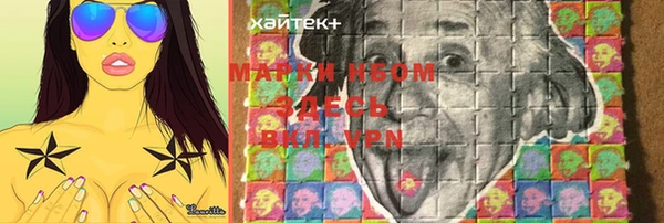 сатива Нефтекумск