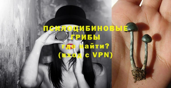 сатива Нефтекумск