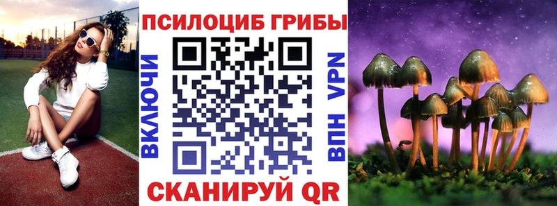 Псилоцибиновые грибы Psilocybine cubensis  нарко площадка формула  Магнитогорск  цена  
