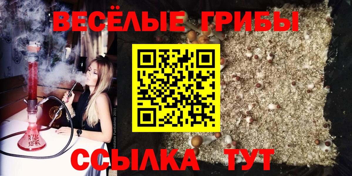 ЭКСТАЗИ  Магнитогорск  Героин  МЕФ   Вход с VPN  Конопля  ГАШИШ  Cocaine 