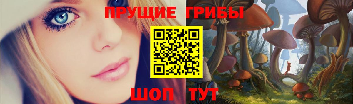 Псилоцибиновые грибы ЛСД  Вход с VPN  Галлюциногенные грибы Magic Shrooms  где найти наркотики  Магнитогорск 